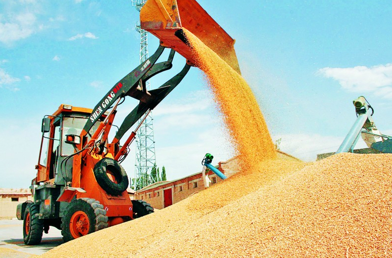 Tajikistan reduces imports of wheat and flour