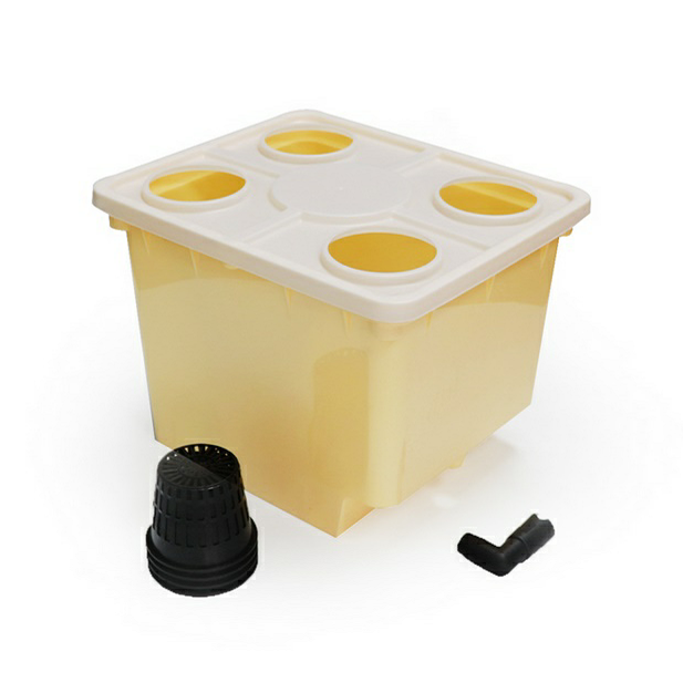 Dutch Bucket Tomato Hydroponics System