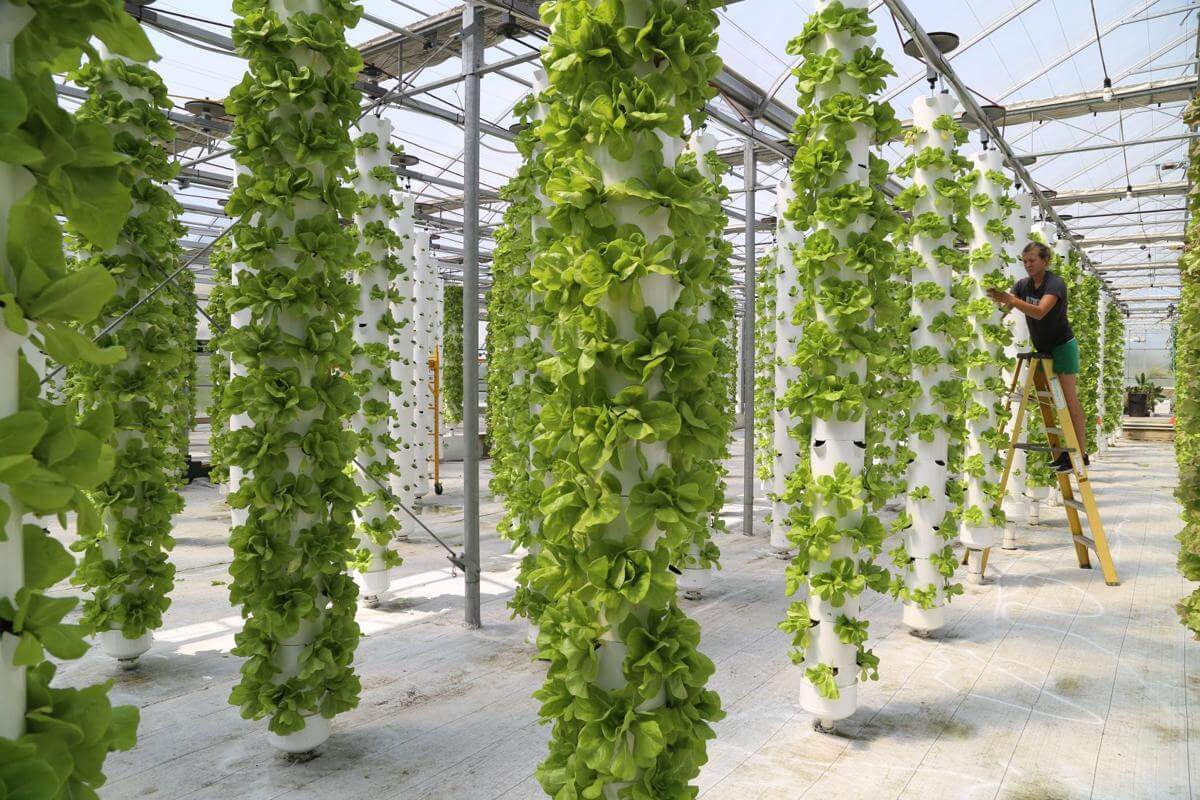 Aeroponic Tower | Vertical Grow System