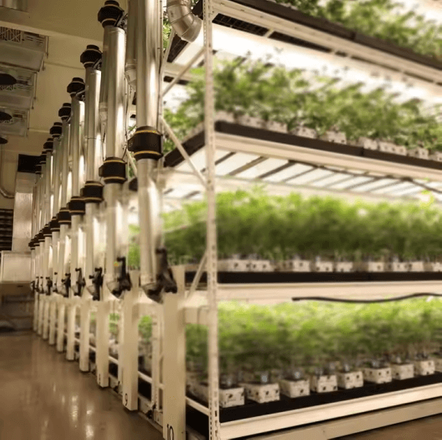 vertical grow rack.png