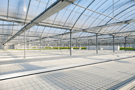 Rolling Greenhouse Benches.png