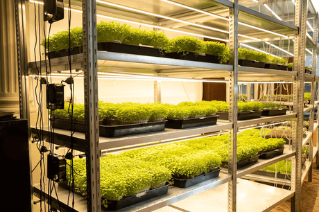 vertical grow rack.png