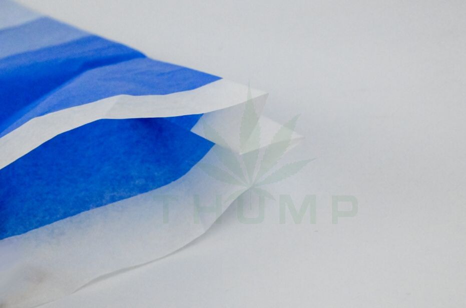 Fruit Protection Paper Bag Wholesale