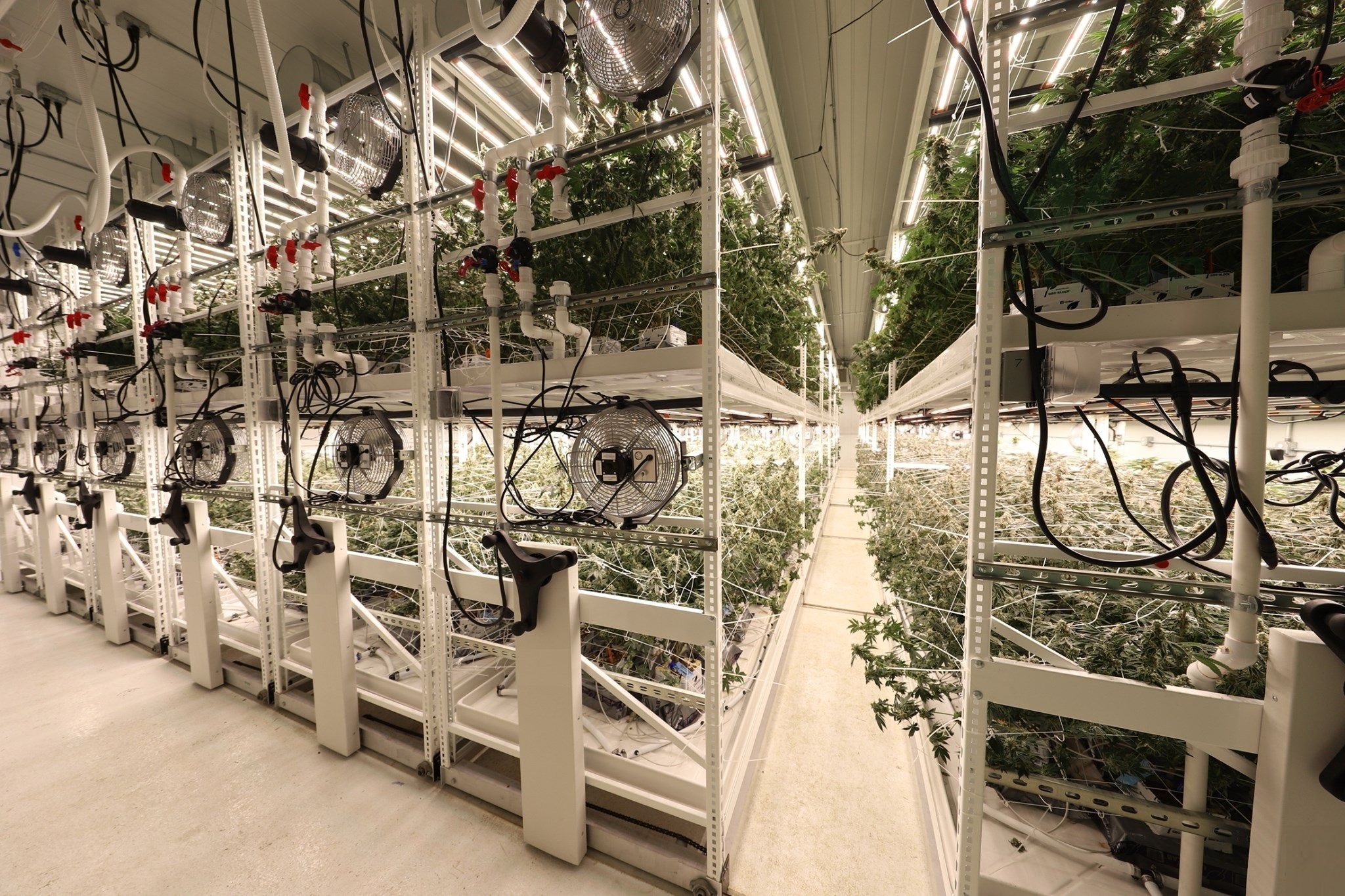 Mobile Vertical Grow Rack