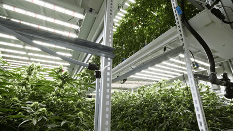 multi-level grow spaces.png