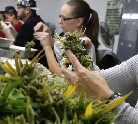 Three States Lead the Way to Legalize Marijuana in the U.S. by 2022 through Legislatures