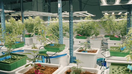 multi layer racks.png