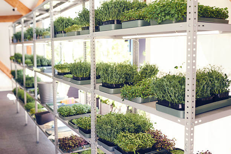 mobile grow rack.jpg