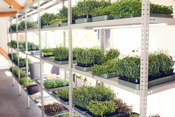 mobile grow rack.jpg