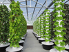 Best Aeroponic Growing Tower Garden System