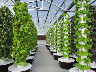 Best Aeroponic Growing Tower Garden System - Thump Supplier