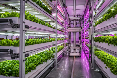 vertical farming equipment.jpg