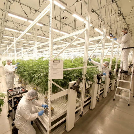 mobile grow racks.jpg