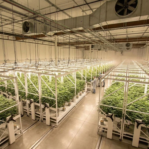 vertical grow racks with wheels.jpg