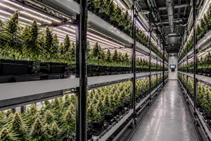 mobile grow system.jpg