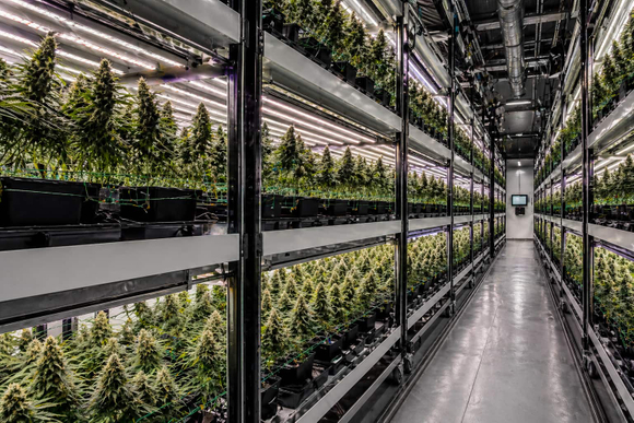 mobile grow system.jpg